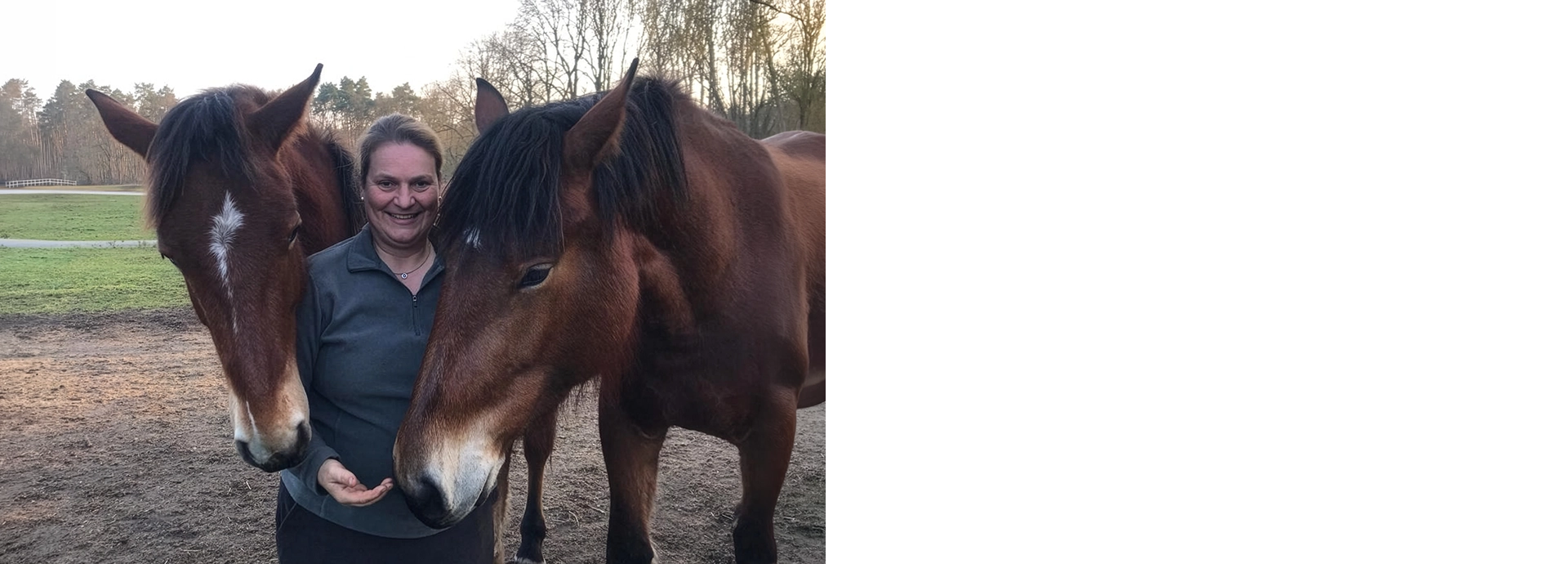 Mobiler Tierarzt Berlin